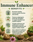 Immune Enhancer