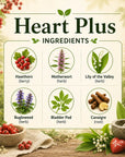 Herbal Heart Plus supplement by Grandma's Herbs showing natural ingredients in a clear container with fresh herbs and herbs leaves.