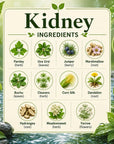 Herbal kidney supplement from Grandma's Herbs, featuring natural ingredients in a clear container with fresh herbs and labels.