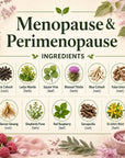 Menopause & Perimenopause
