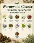 Herbal Wormwood Cleanse supplement by Grandma's Herbs, showing dried wormwood herbs in a jar on a wooden surface.