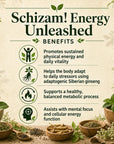Schizam! Energy Unleashed