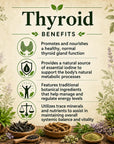 Herbal thyroid supplement from Grandma's Herbs, featuring natural ingredients to support thyroid health.