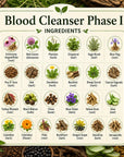 Blood Cleanser Phase I