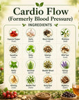 Cardio Flow (Formerly Blood Pressure)