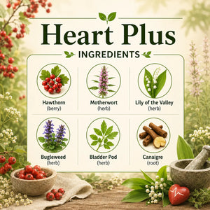 Herbal Heart Plus supplement by Grandma's Herbs showing natural ingredients in a clear container with fresh herbs and herbs leaves.
