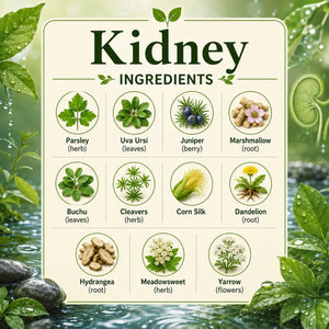 Herbal kidney supplement from Grandma's Herbs, featuring natural ingredients in a clear container with fresh herbs and labels.