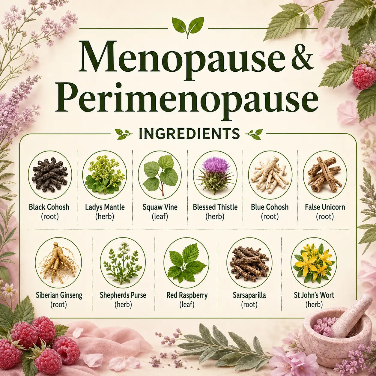 Menopause & Perimenopause