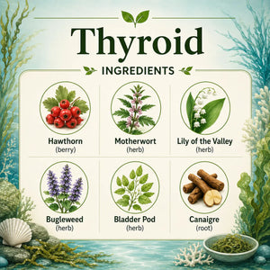 Herbal thyroid supplement from Grandma's Herbs with natural ingredients, displayed in a jar with herbal leaves and capsules.