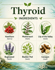 Herbal thyroid supplement from Grandma's Herbs with natural ingredients, displayed in a jar with herbal leaves and capsules.